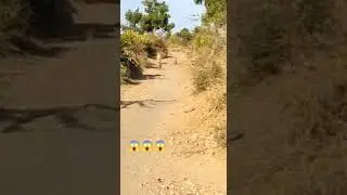 bike vara ni filling 😱😱😱 sasangir jungale video #viral #shorts @the_wildlifesj