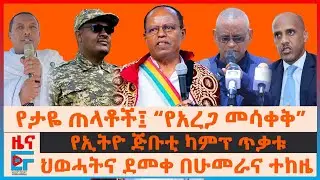 የታዬ ጠላቶችና “የአረጋ መሳቀቅ”፣ 