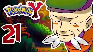 POK&Eacute;MON Y🗼#21: Arenakampf gegen Amaro!
