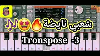 سيت شعبي نايضة 🔥🤩| لأورج 2022-org cha3bi
