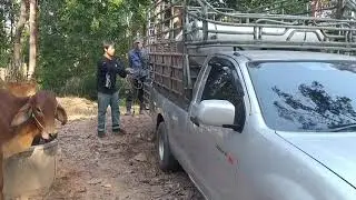 В центральном регионе по-прежнему сохраняется высокий уровень заказов, и поставки начнутся быстры...