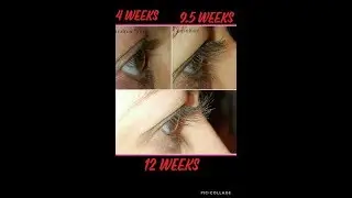 How to apply Lash Boost