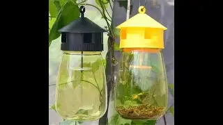 Fruit Fly Catcher Trap Reusable Bottle