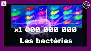 [ScienceLoop] Le génome et la métagénomique [3/3]