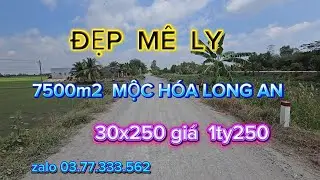 Không  còn  gì  để mất, bán  lô  đất  cúi  cùng  7500m2, mộc hóa long an  giá 1ty250