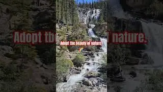 Canada Journey #shortvideos #youtubeshorts #nature #vlog #canada #shorts #travel