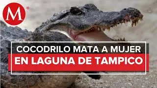 Cocodrilo que mató a mujer en la Laguna del Carpintero será reubicado