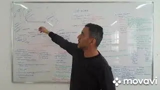 патофизиология кожи