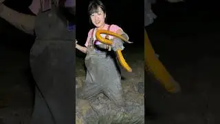 Girl Catching Eel in Mud #20 #fishing #fish #eel #fishing #fishcatching