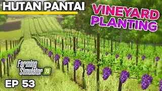 PLANTING A VINEYARD | Farming Simulator 25 - Hutan Pantai | Episode 53