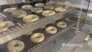 Automatic Yeast Donut Machine