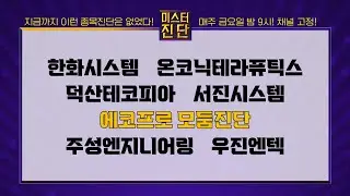 한화시스템/온코닉테라퓨틱스/덕산테코피아/서진시스템/에코프로/에코프로에이치엔/에코프로머티/에코프로비엠/주성엔지니어링/우진엔텍 [이종복 전문가_미스터 진단 1부] #미스터진단 #이종복