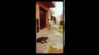saltando escaleras