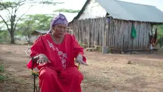 Skindigenous 3 | Colombia Wayuu