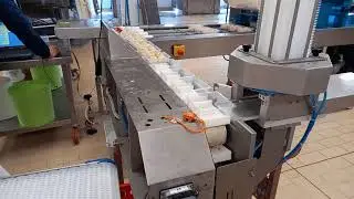 Automatic Tray Sealer in MAP with automatic tray feeding system