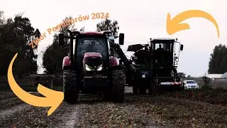 Oporowy zbiór pomidorów 2024☆ |GR Grela|🔥Case&Sandei🔥