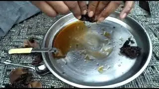 Small Bee pure Honey in india