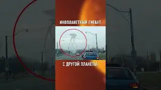 50 МЕТРОВ! Это Самый БОЛЬШОЙ МОНСТР в Мире #shorts