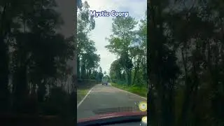 #roadtrip #thrilling_driving #longdrive #daytrip #adventure #scenicdrive #weekendgetaway #highway