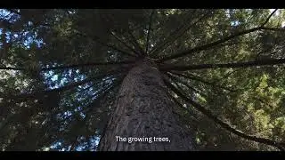 Progress through nature and technology