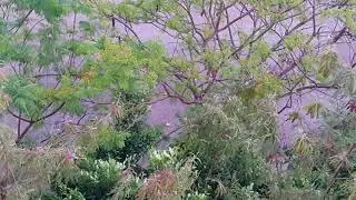 Rainy time, Obour City, Egypt