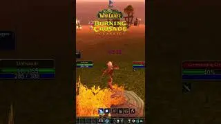 WOW TBC CLASSIC HUNTER LEVELING  #worldofwarcraft #warcraft #wowclassic #dragonflight #gaming