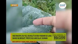 Balitang Amianan: 'Andap' sa Benguet