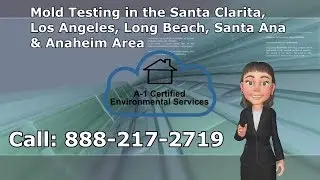 Mold Testing Santa Clarita