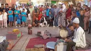 عيساوة والافاعي