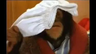 1992 PG Tips Chimps Meet The Tipps Advert