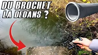 Je P&Ecirc;CHE dans UNE BUSE EN B&Eacute;TON, p&ecirc;che du brochet en hiver en &eacute;tang !