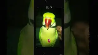 #raghuu
