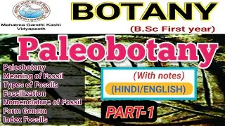 Paleobotany/Palaeobotany/Fossil/Types of Fossils
