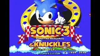 New Donk City (Sonic 3 And Knuckles Soundfont)