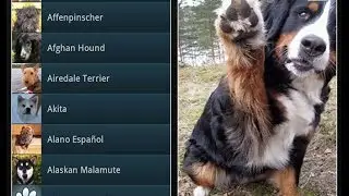 Top Android Apps for Veterinarians