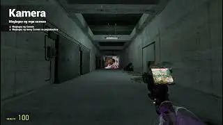 qua ndale dingle next bot chase gmod
