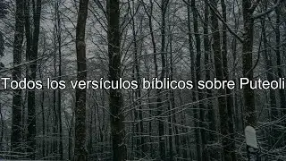 Qu&eacute; dice la Biblia acerca de Puteoli - Todos los vers&iacute;culos b&iacute;blicos sobre Puteoli