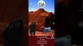 وصف الرسول صلى الله عليه وسلم