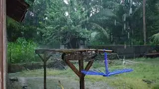 Instant Sleep: Heavy Rain on the Roof of a Rural House for 3 Hours (No Talking)