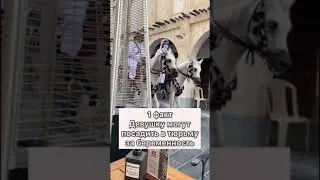 Шокирующие факты о Катаре 😱