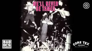 BRIGHTSIDE - WATCH YOUR STEP - SAMPLER: WE&acute;LL NEVER BE TAMED - TRACK 10