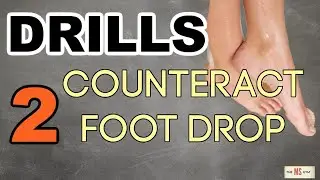 Restore Ankle Control | Internal & External Ankle Rotation with Band (Foot Drop & Neuro Rehab Focus)