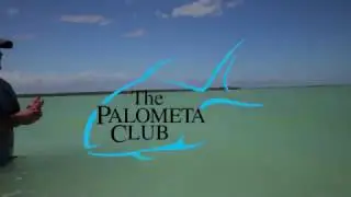 Chasing Ascension Bay Permit on the Fly at The Palometa Club