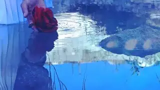 After Dark- Ophelia (Official video)