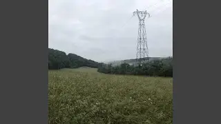 parallel five