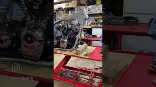 FXR Build Series
