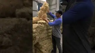 hemp fibre differences