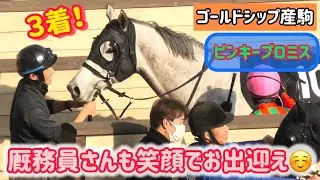 【ゴールドシップ産駒】馬群を切り裂いて好走して厩務員さんに笑顔でお出迎えされるピンキープロミス