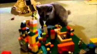 Attack of Bobzilla