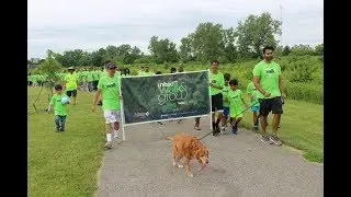 BAPS Charities Walk Green 2019, Columbus, OH